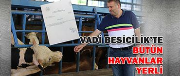 Vadi Besicilik’te bütün hayvanlar yerli